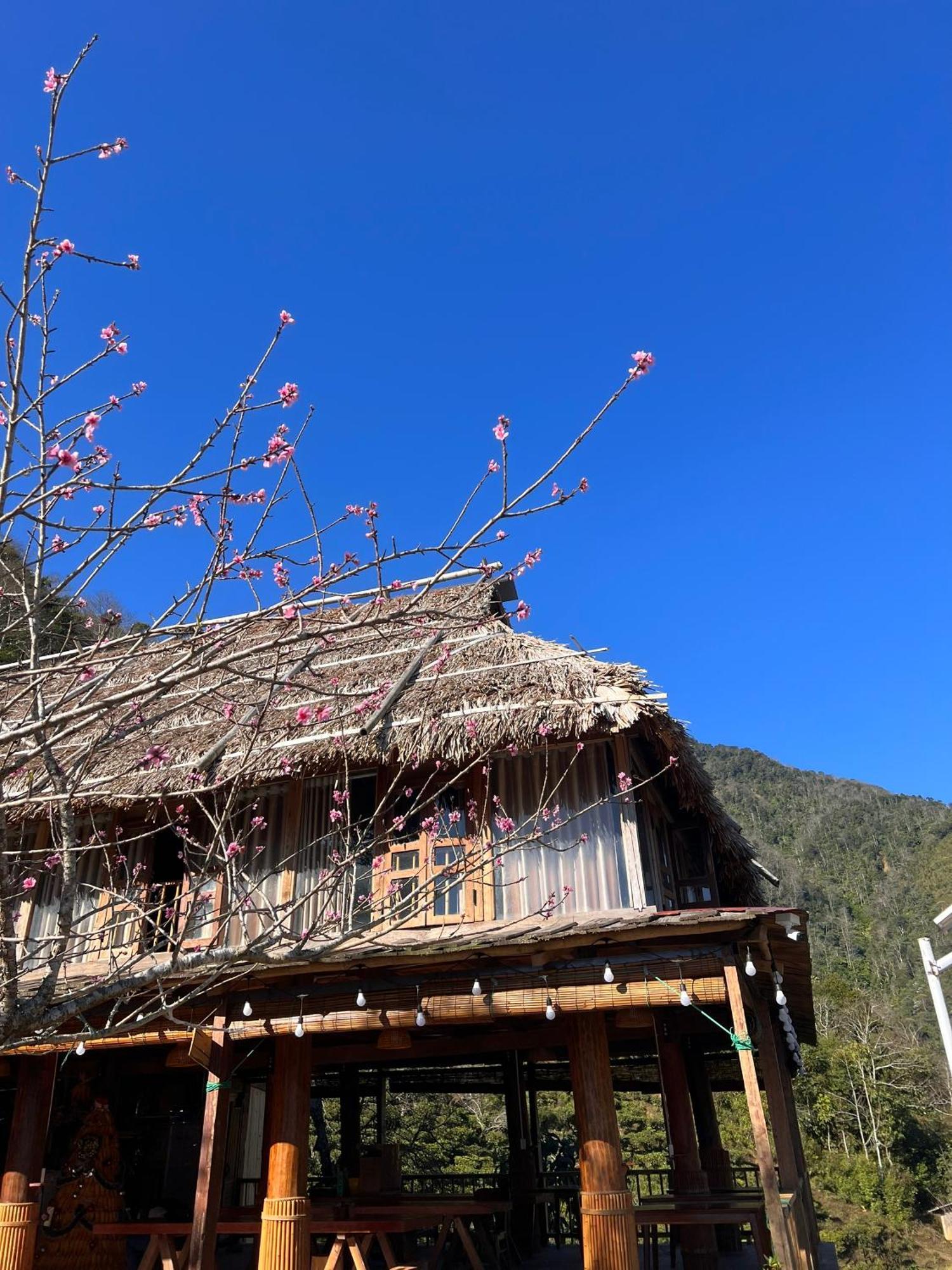 Ta Xua Ecolodge Bac Yen 외부 사진
